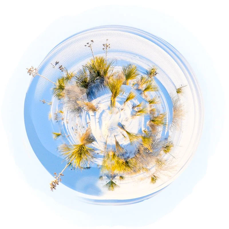 Mini-planète de White Sands aux États-Unis, avec des dunes blanches et des touffes de végétation sous un ciel bleu.